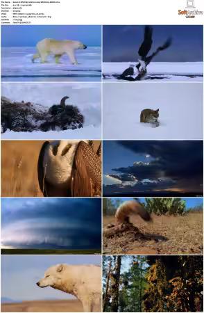 Wild Sky S01 2160p WEB h265-BAWD