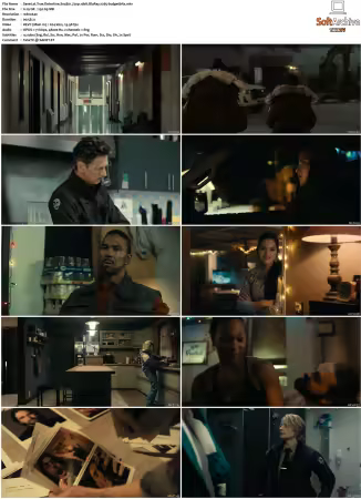 True Detective S01 S04 720p 10bit BluRay x265-budgetbits