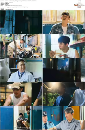 Our Dazzling Days S01 2026 2160p WEB-DL H 265 HDR DDP5.1-HHWEB