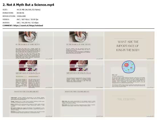 Detox Quick &amp; Easy With Ionic Foot Bath! Guide &amp; Testimonial