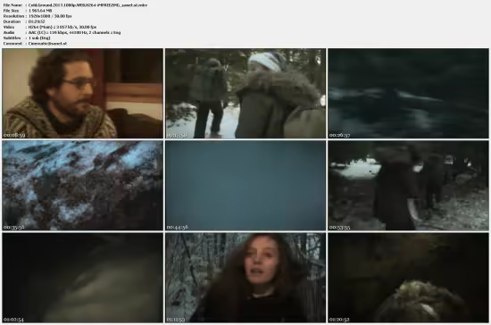 Cold Ground 2017 1080p WEB H264-iMFREEZiNG