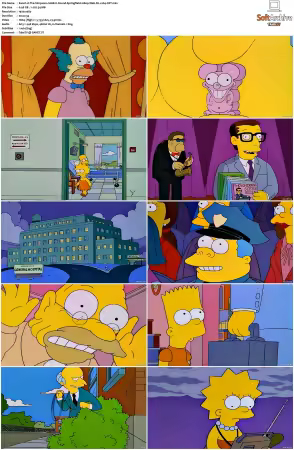The Simpsons S06 1080p Web-DL x264-OFT