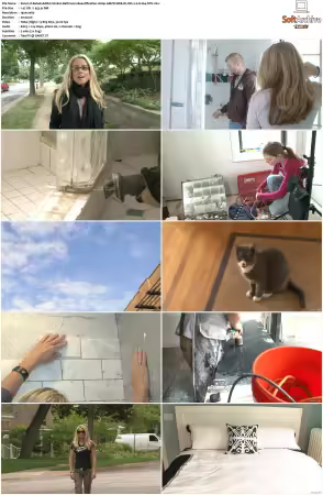 Rehab Addict S02 1080p AMZN WEB-DL DD+2.0 H264-NTb
