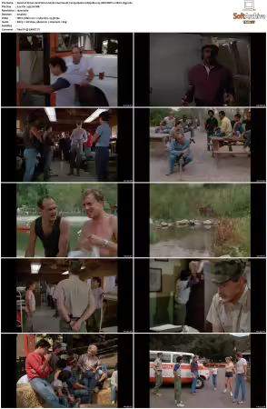Simon and Simon S01-S08 1080p Blu-ray 10Bit DDP2.0 HEVC-d3g