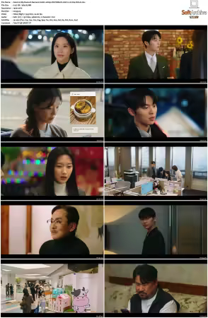 My Dearest Nemesis S01 1080p VIKI WEB-DL AAC2.0 H264-SiGLA