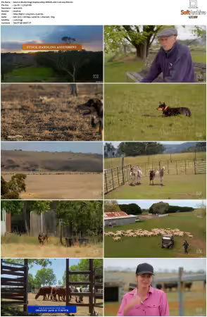 Muster Dogs S04 1080p WEB-DL AAC2.0 H264-WH