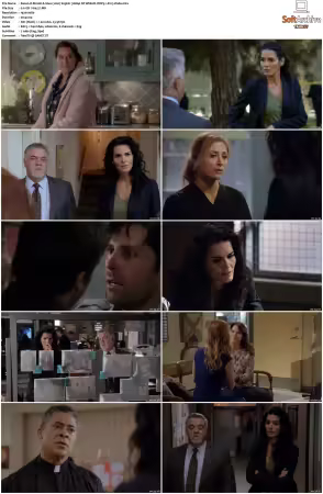 Rizzoli and Isles 2010 S01-S07 1080p NF WEB-DL DDP5.1 AV1-Vialle