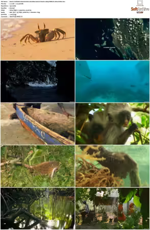 Wildest Islands S01 S02 1080p WEB-DL H264-KUSH
