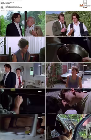 Kommissar Rex S01 S10 German 1080p HDTV x264-OMGtv