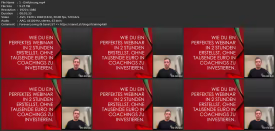 Erfolgreiche Webinare: Online Marketing Leicht Gemacht