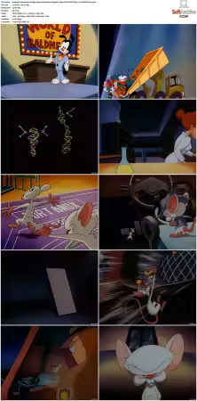 Animaniacs 1993 S01-S05 1080p UPSCALED DD 5.1 x265-EDGE2020