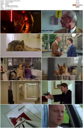 Kommissar Rex S01-S10 German 1080p HDTV x264-OMGtv