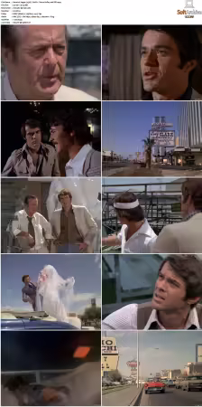 Vegas 1978 S01-S03 480p DVDRip HEVC AAC 2.0 DreadParrot