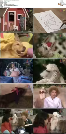 Lamb Chop's Play-Along S01-S03 x265-NGP