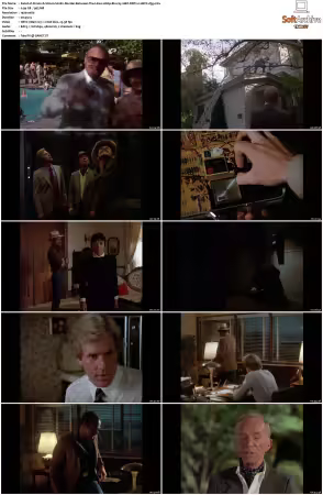 Simon and Simon S01 S08 1080p Blu-ray 10Bit DDP2.0 HEVC-d3g