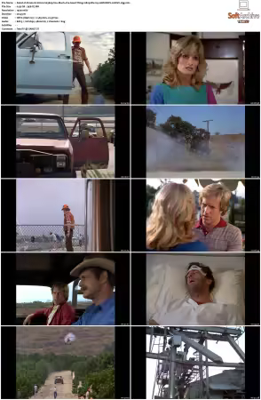 Simon and Simon S01 S08 1080p Blu-ray 10Bit DDP2.0 HEVC-d3g