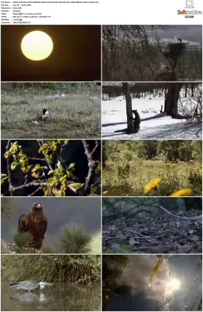 Stories of The Mediterranean Forest S01 1080p Web-DL AAC2.0 H264-