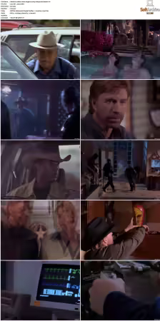 Walker Texas Ranger S01-S09 DVDRip XviD-Mixed