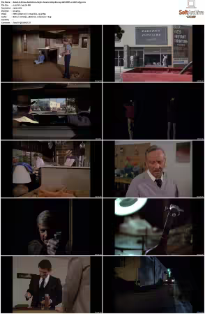 Simon and Simon S01-S08 1080p Blu-ray 10Bit DDP2.0 HEVC-d3g