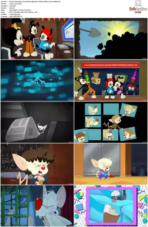 Animaniacs 2020 S01 S03 1080p HULU WEB-DL DDP5 1 H264-SNAKE