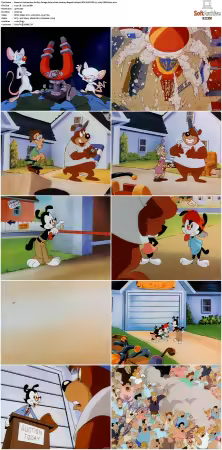 Animaniacs 1993 S01-S05 1080p UPSCALED DD 5.1 x265-EDGE2020