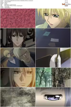 Vampire Knight 2008 S01 1080p BluRay 10bit EAC3 2.0 x265-iVy