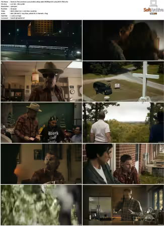 The Lowdown 2025 S01 1080p 10bit WEBRip 6CH x265 HEVC-PSA