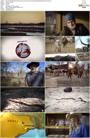 United States of Animals S01 1080p DSNP WEB-DL DDP5.1 H264-Sloth