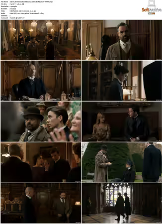 Vienna Blood S01 S04 1080p BluRay x265-MIXED