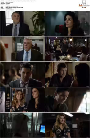 Rizzoli and Isles 2010 S01-S07 1080p NF WEB-DL DDP5.1 AV1-Vialle