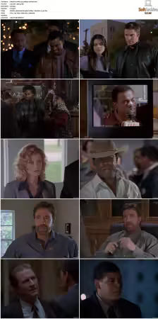Walker Texas Ranger S01-S09 DVDRip XviD-Mixed
