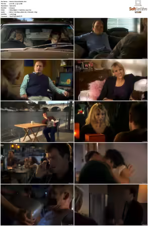 Vexed S01S02 1080p WEB x264-NGP