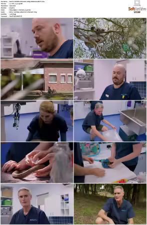 Wildlife ER S01S02 1080p WEB h264-BETTY