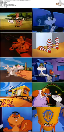 Animaniacs 1993 S01-S05 1080p UPSCALED DD 5.1 x265-EDGE2020