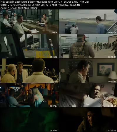 Sicario 2015 Bluray 1080p x265 10bit DDP 7.1 -SSDSSE