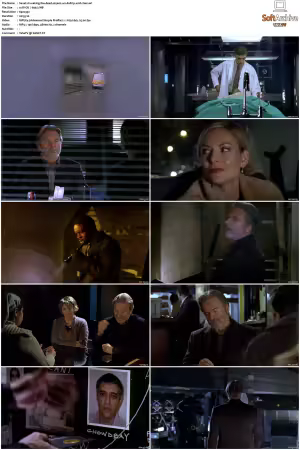 Waking The Dead S01 S09 DVDRip XviD-Mixed