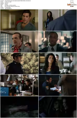Rizzoli and Isles 2010 S01-S07 1080p NF WEB-DL DDP5.1 AV1-Vialle