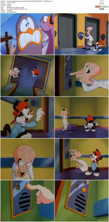 Animaniacs 1993 S01-S05 1080p UPSCALED DD 5.1 x265-EDGE2020
