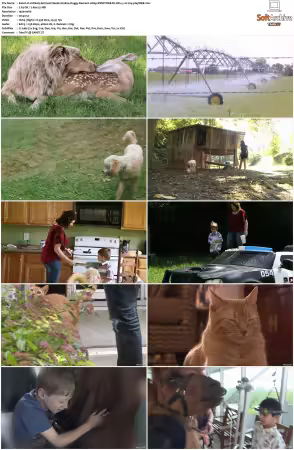 Unlikely Animal Friends S01 S03 1080p DSNP WEB-DL DD+5.1 H264-playWEB