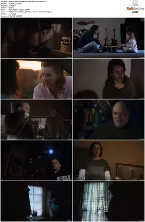 Waco S01 MULTi 1080p WEB x264-N3TFL1X