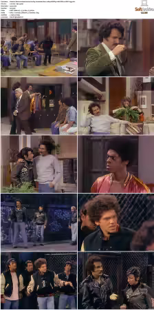 Welcome Back Kotter S01 S04 1080p WEBRip 10Bit DDP2.0 HEVC-d3g