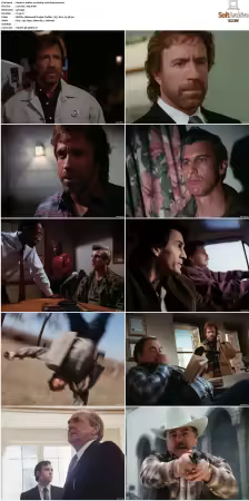Walker Texas Ranger S01 S09 DVDRip XviD-Mixed