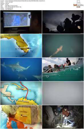 United States of Animals S01 1080p DSNP WEB-DL DDP5.1 H264-Sloth