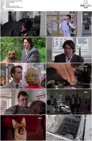 Kommissar Rex S01 S10 German 1080p HDTV x264-OMGtv