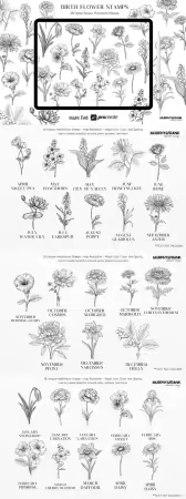Birth Flower Stamp Brushes for Procreate