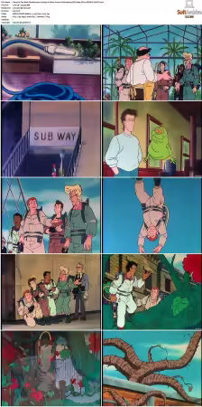 The Real Ghostbusters S01-S07 DVD REMUX-MIXED