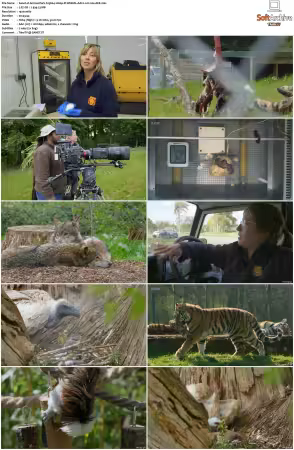 Animal Park S25 1080p iP WEB-DL AAC2.0 H264-AEK