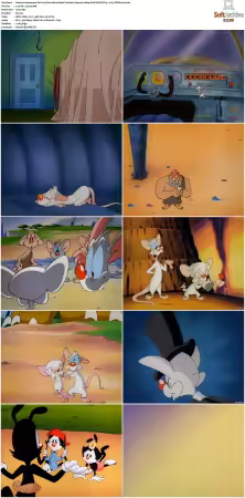 Animaniacs 1993 S01 S05 1080p UPSCALED DD 5.1 x265-EDGE2020