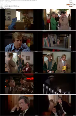 Simon and Simon S01 S08 1080p Blu-ray 10Bit DDP2.0 HEVC-d3g