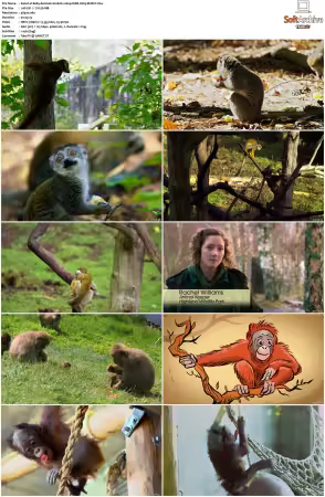 Baby Animals S01-S02 2160p WEB H265-BUSSY